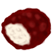 031