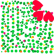 017