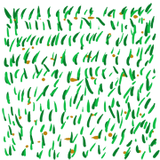029