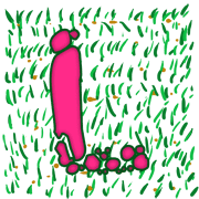 036