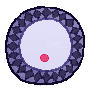 246