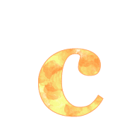 029