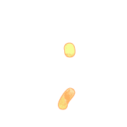 082