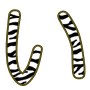 002