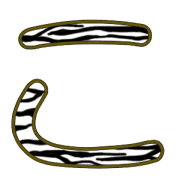 010