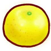 023