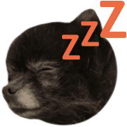 021