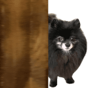 030