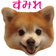 040