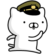 031
