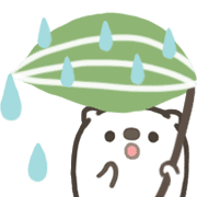 029