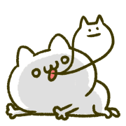 020