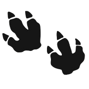 006