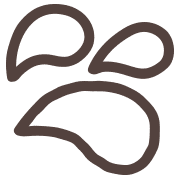 020