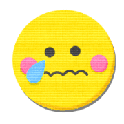 003
