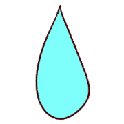 029