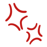 031