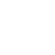 029