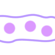 011