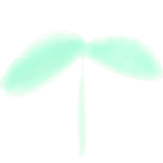 031