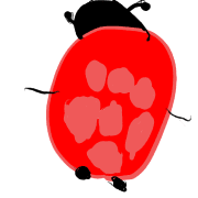 021