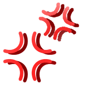 034