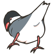 อิโมจิไลน์ rakugaki zoo 9  Java sparrow 2