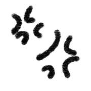 036