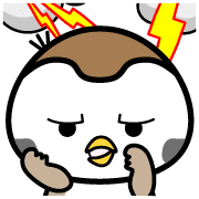 007