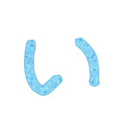 002