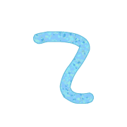 019