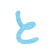 020