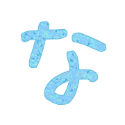 021