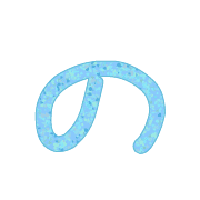 025