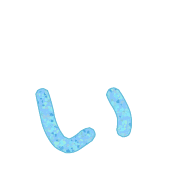 048