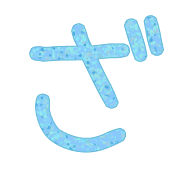 061