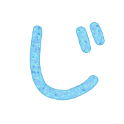 062