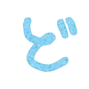 070