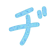 147