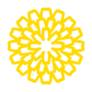 007