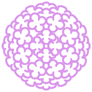 023
