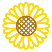 029