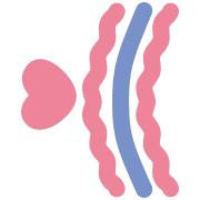 036