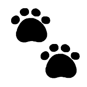 035