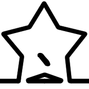 256