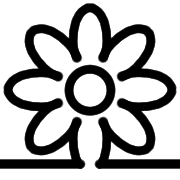 284