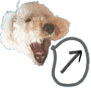 123