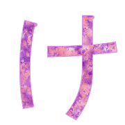 009