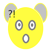 005