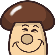 019